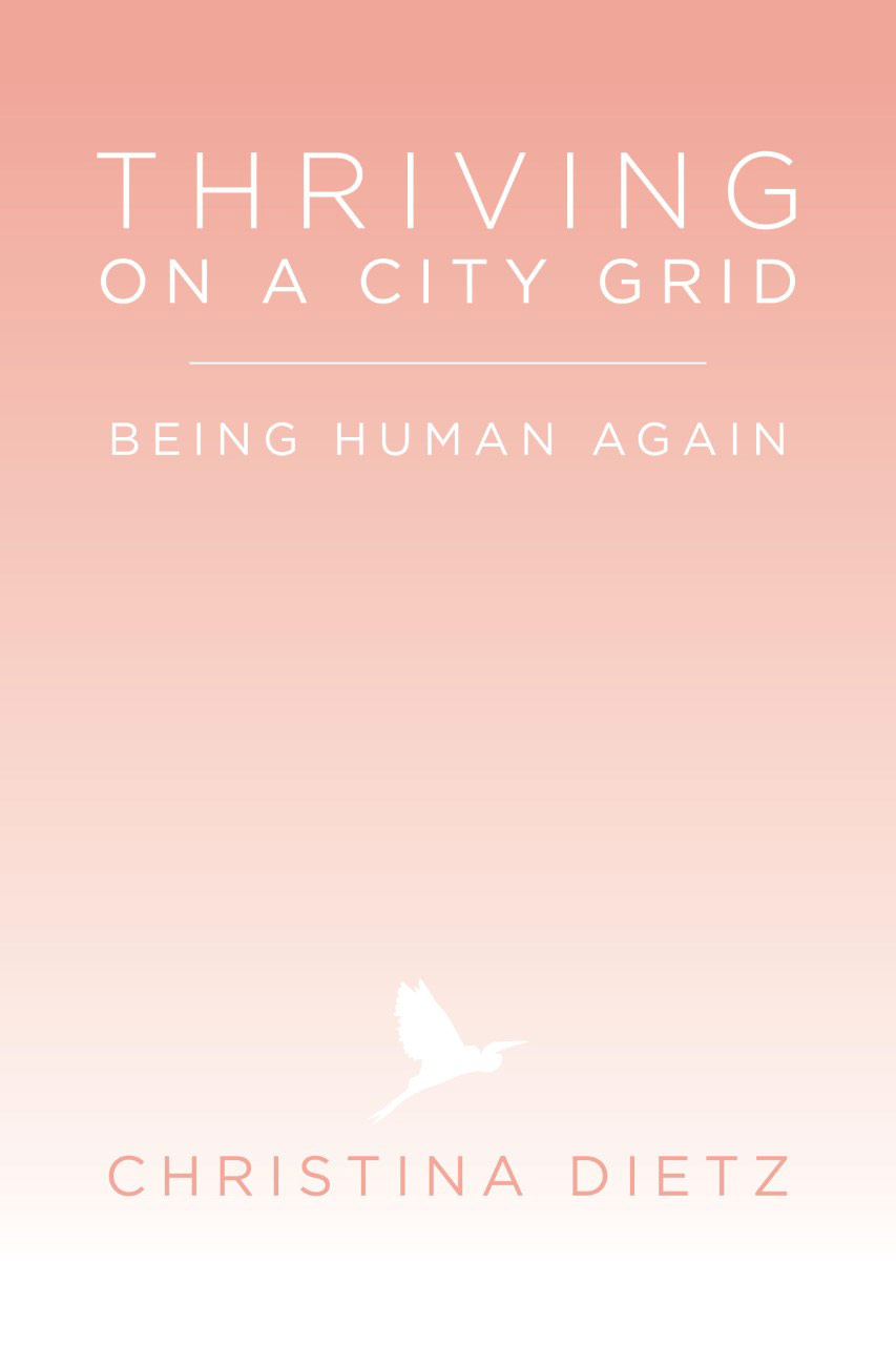 thriving on a city grid book cover